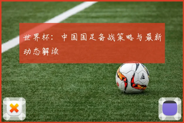 世界杯：中国国足备战策略与最新动态解读