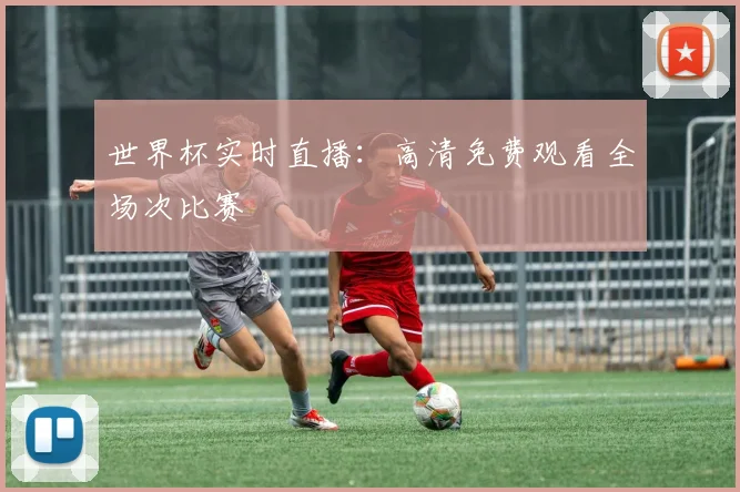世界杯实时直播：高清免费观看全场次比赛