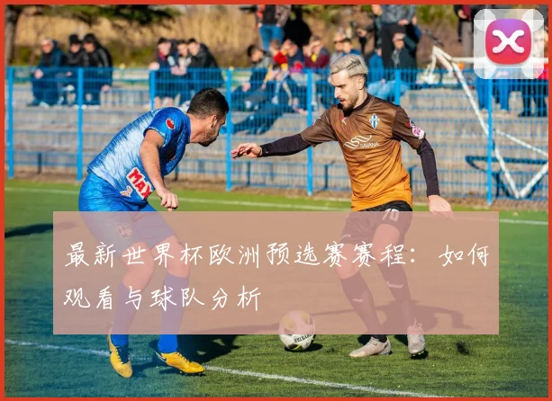 最新世界杯欧洲预选赛赛程：如何观看与球队分析