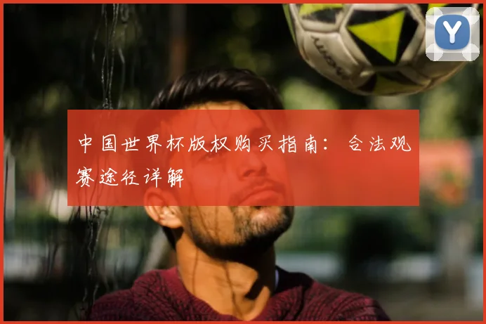 中国世界杯版权购买指南：合法观赛途径详解