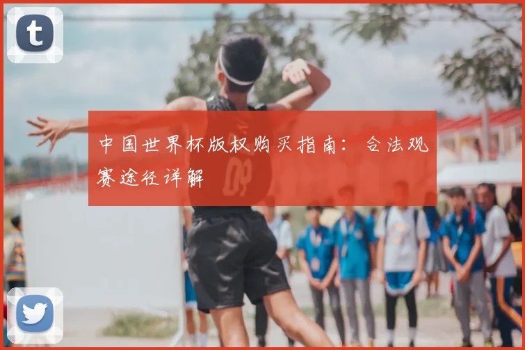 中国世界杯版权购买指南：合法观赛途径详解